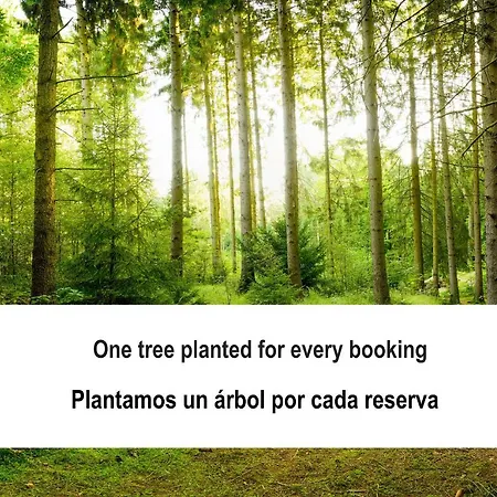 Gran Casiña Rural Queimada Сasa de vacaciones Ourense